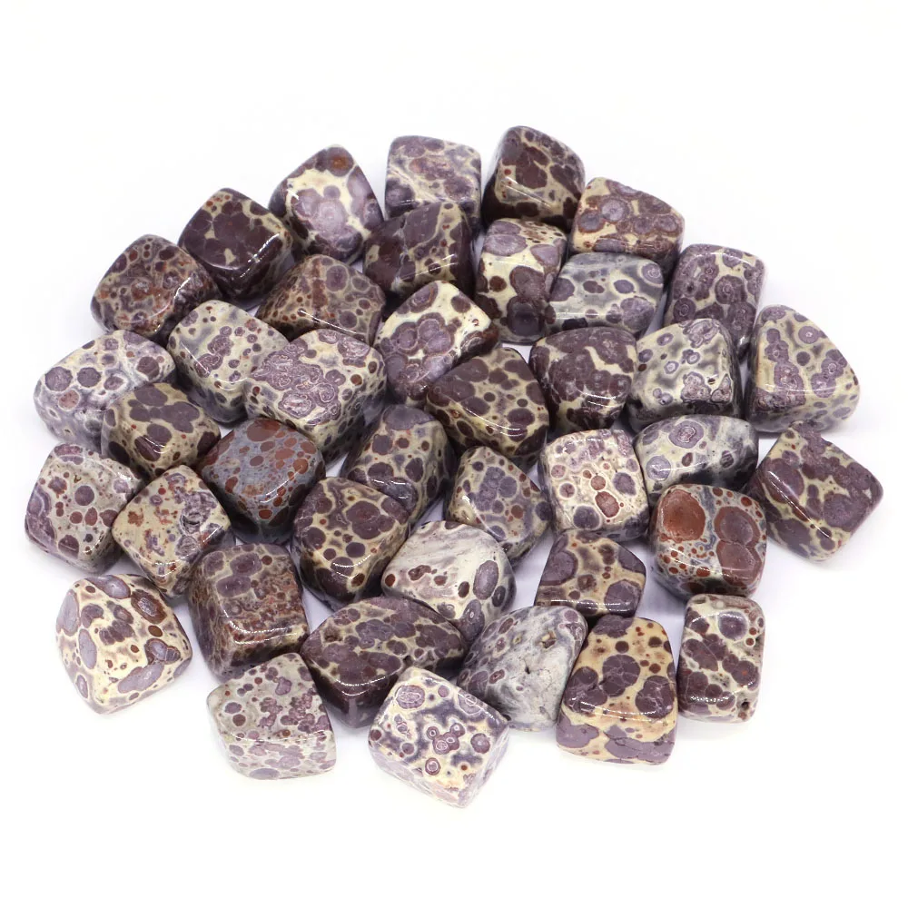 Afbeelding 3: Natuurlijke Bonte Sneeuwvlok Jasper Kristal Reiki Healing Tumbled Stone Minerale Bulk Edelstenen Home Decor Aquarium Aquarium Specimen