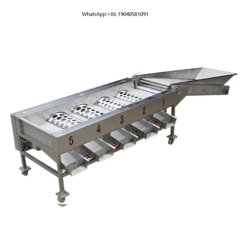 Potato Sorting Machine  Root and stem Vegetable Roller Sorting Machine Size Grading Machine for Fruits and Vegetables