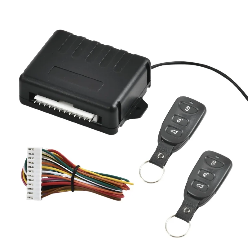 

Customized Remote One Way Car Keyless Entry System With Trunk Release Function