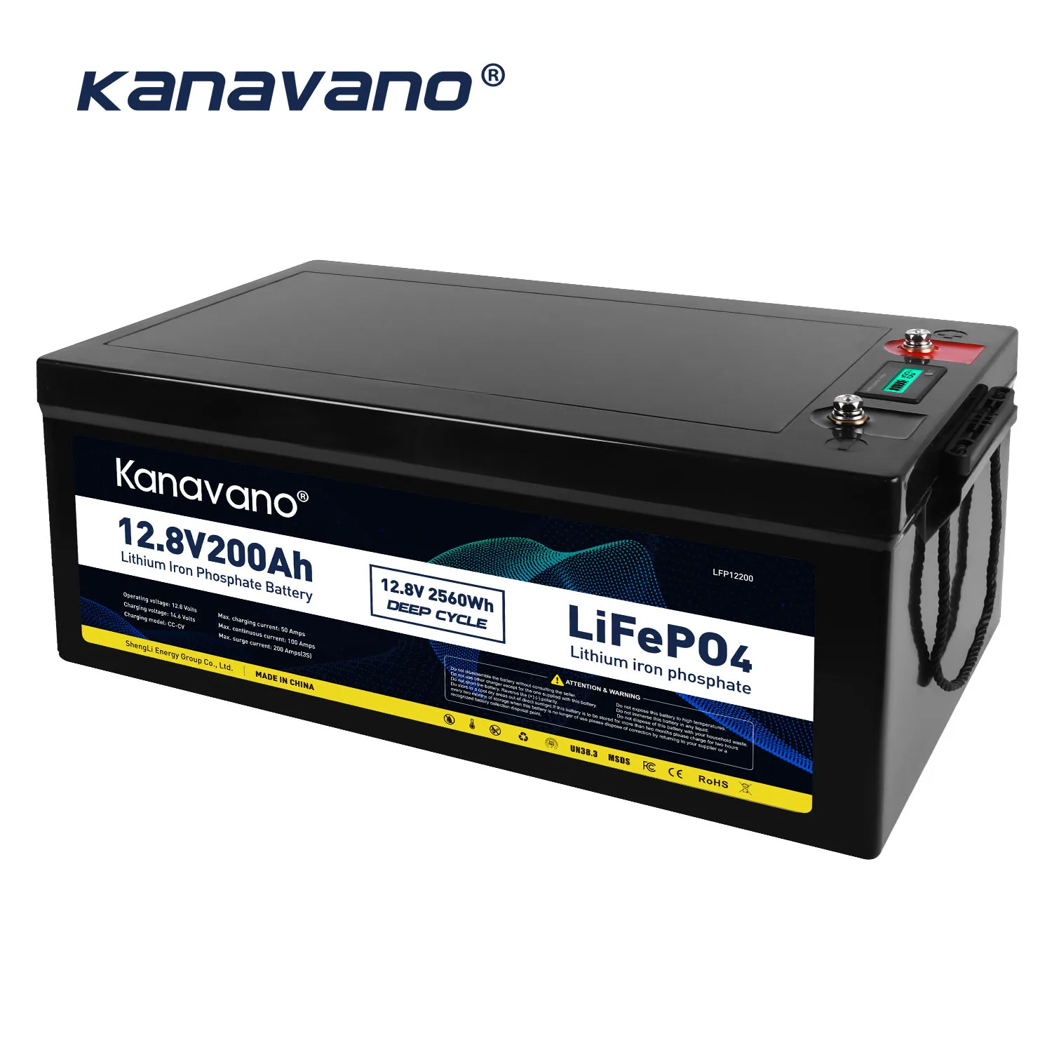 

12.8V 200Ah Lifepo4 Battery Pack Solar 12V Deep Cycle Lithium Ion Phosphate For EV Marine RV Golf Cart With 20A Charger