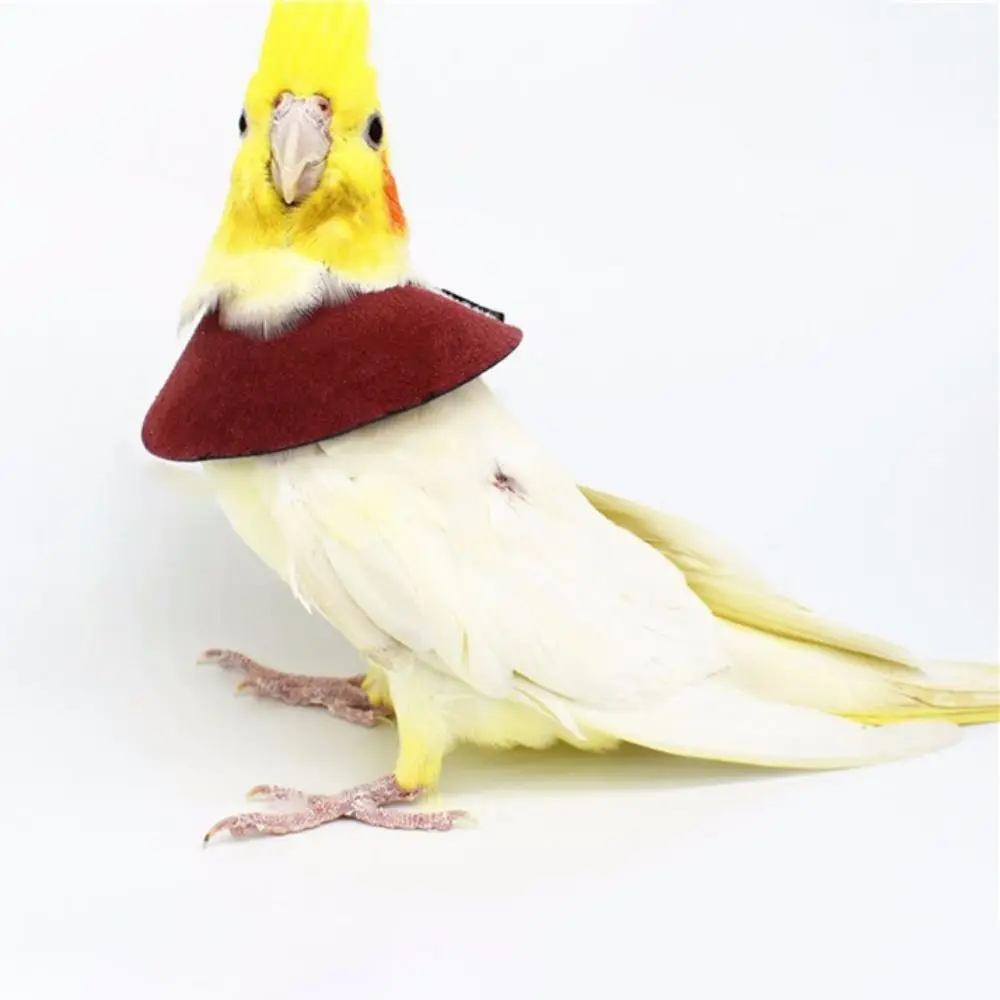 Adjustable Bird Accessories Anti-peckin Anti-bite Bird Recovery Collar Bird Neck Sleeve Bird Cloak Parrot Elizabethan Circle