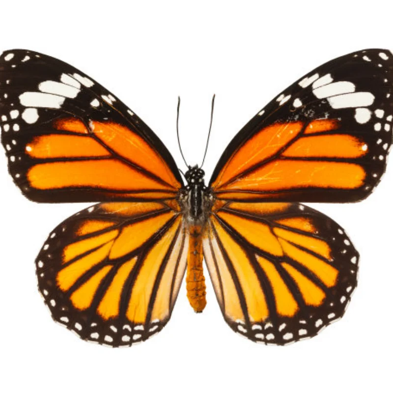 

Для LC Racing PTG-2 PTG-2R металлический передний и задний рычаг подвески, набор держателей ступицы рулевой чашки, 1/10, обновленные детали, аксессуары