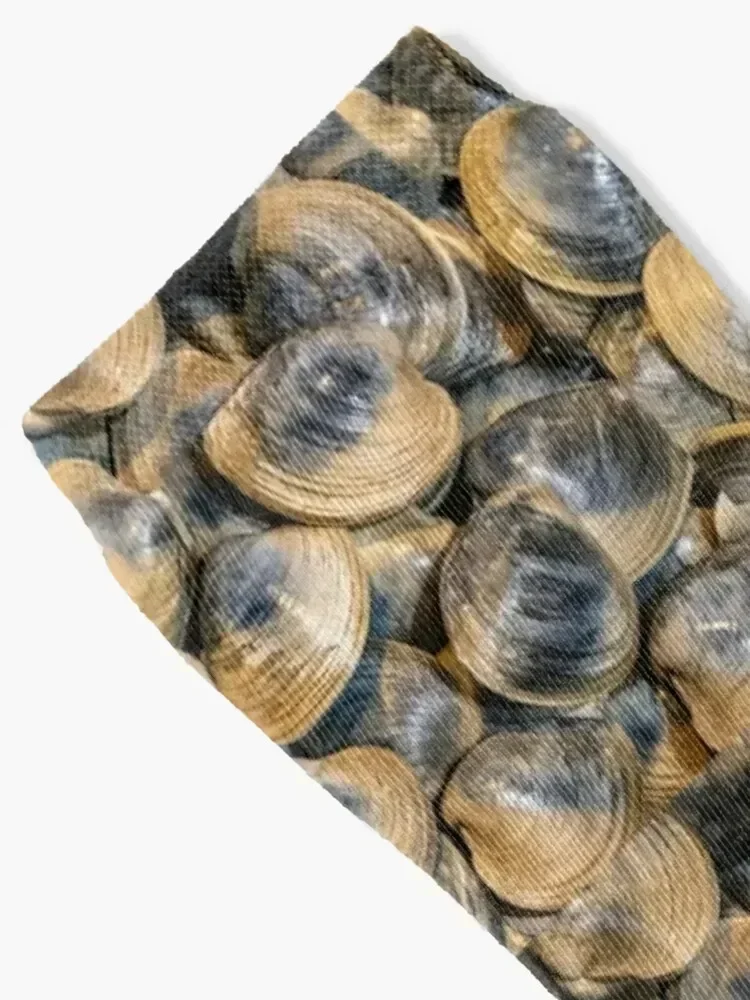 quahogs Socks soccer anti-slip christmas stocking cycling short Men Socks Women's