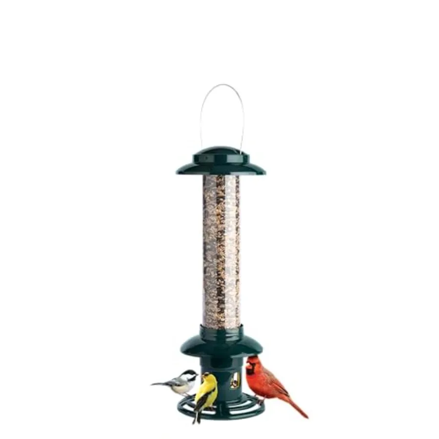 

Squirrel Buster Evolution Truly Squirrel-Proof Bird Feeder Double Cardinal Ring 1.9-Pound Seed Capacity Green