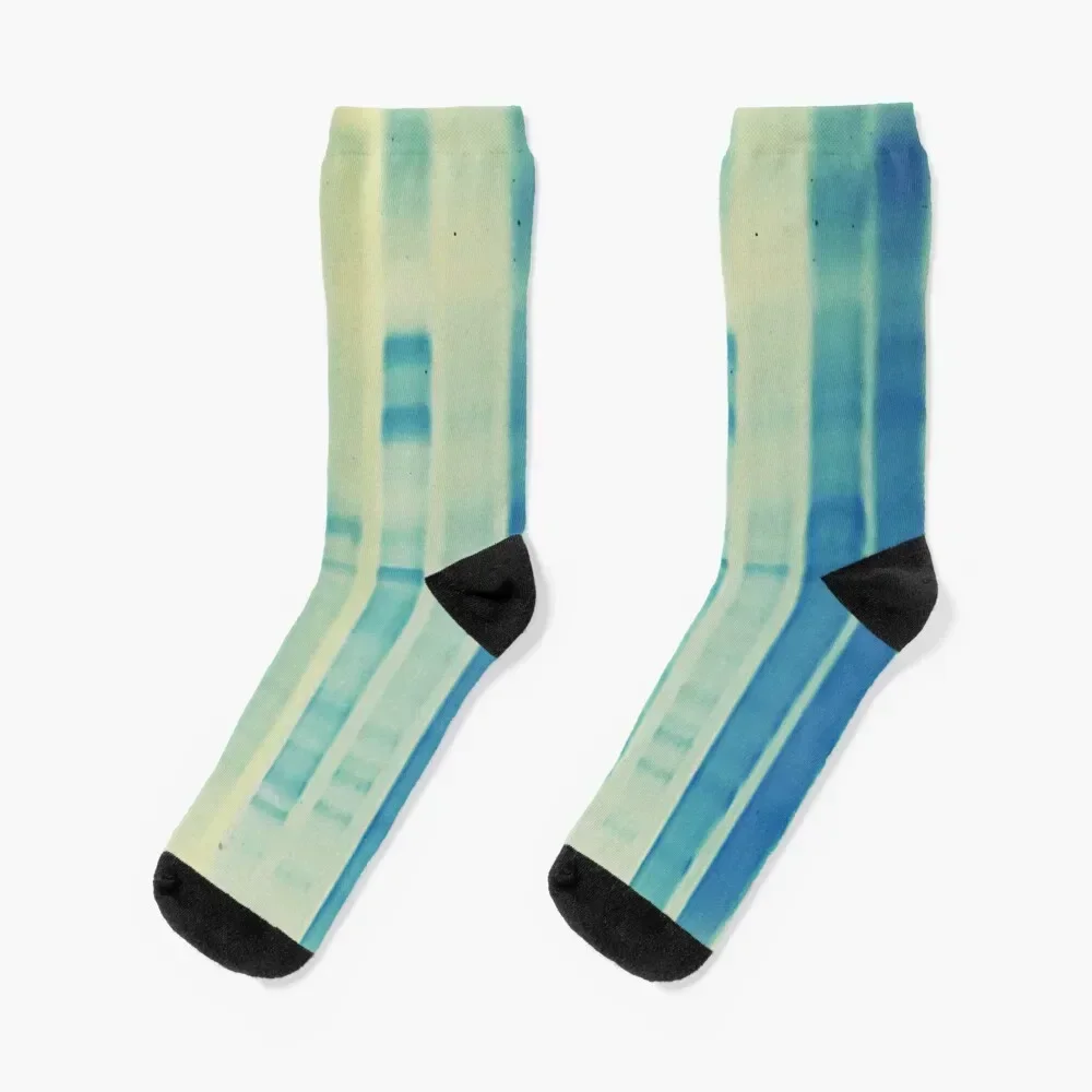 

Copy of Polyacrylamide gel electrophoresis Socks summer crazy sports stockings Running Socks Girl Men's