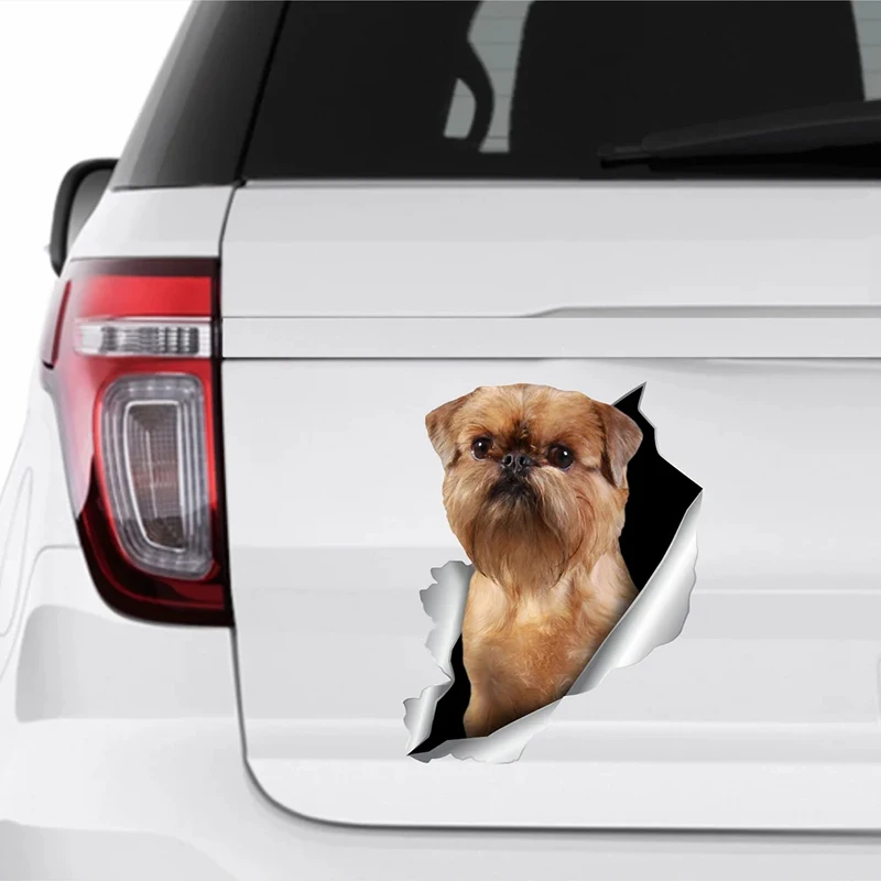 S62227# Car Sticker Brussels Griffon Dog Pet Animal Waterproof Vinyl Decal Car Accessories Decor Pegatinas Para Coche