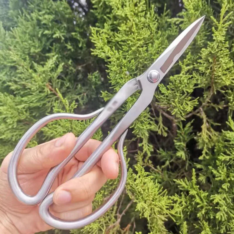 Flower, Branch, Bonsai and Craft Cutting Tool - Professional Stainless Steel Multipurpose Scissors
