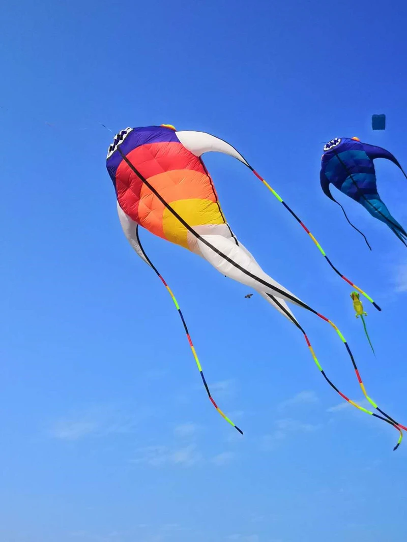 Envío Gratis, monstruo marino, pipa de pescado volando, juguetes divertidos al aire libre, pipa, buggy, tablero, pasatiempos, pipa de tela, falo, pipa deportiva divertida