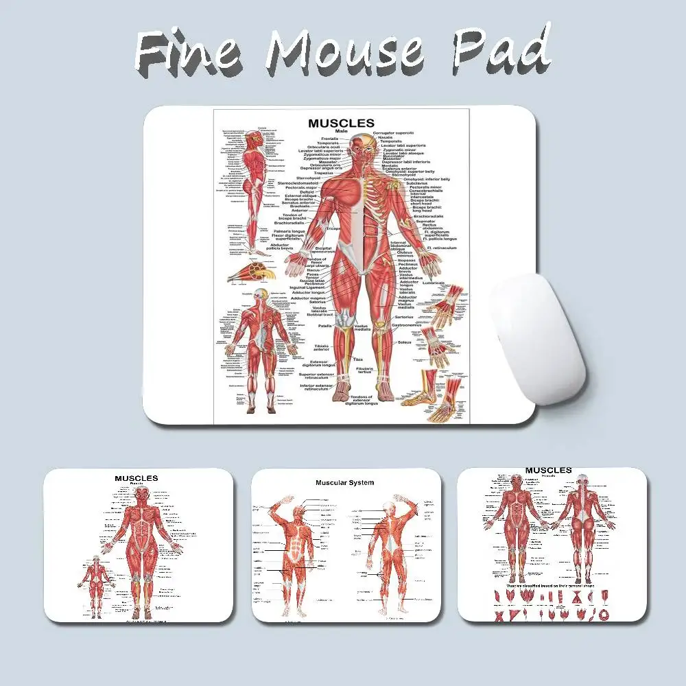 

Коврик для мыши с изображением анатомии мышечной системы человека, учебные материалы по медицине, игровой коврик для мыши малого размера, коврик для игровой мыши, коврик для компьютерного стола