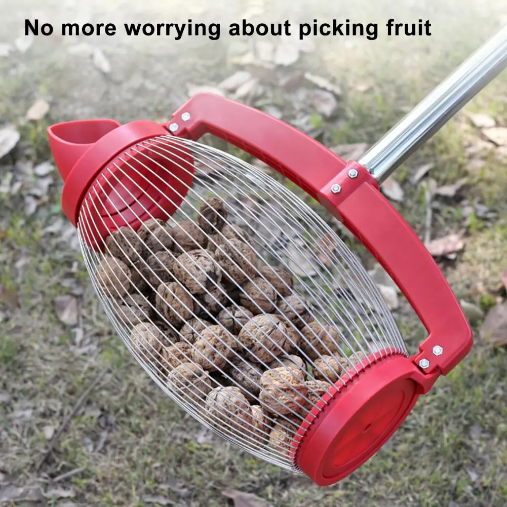 Nut Collector Rolling Nut Gatherer with Extended Handle Stainless Thick Pole for Labor-saving Walnut Collection Garden