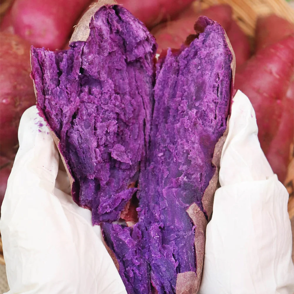 2025 مزيج بطاطس حلوة من Haenam، مزيج بطاطس حلوة أرجواني فاتح