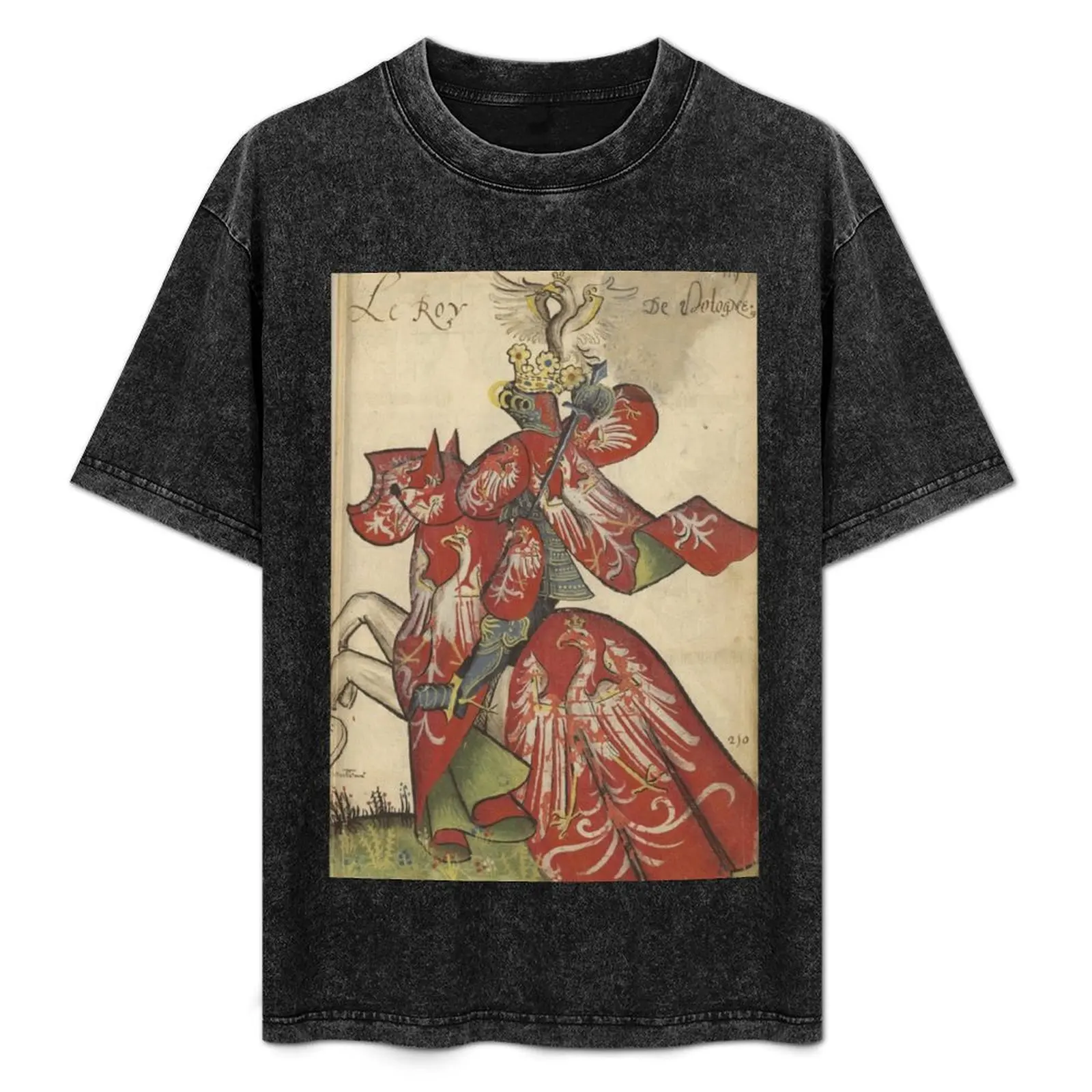 King of Poland (15th century) - Grand Equestrian Armorial of the Golden Fleece T-Shirt kawaii clothes t shirt for men