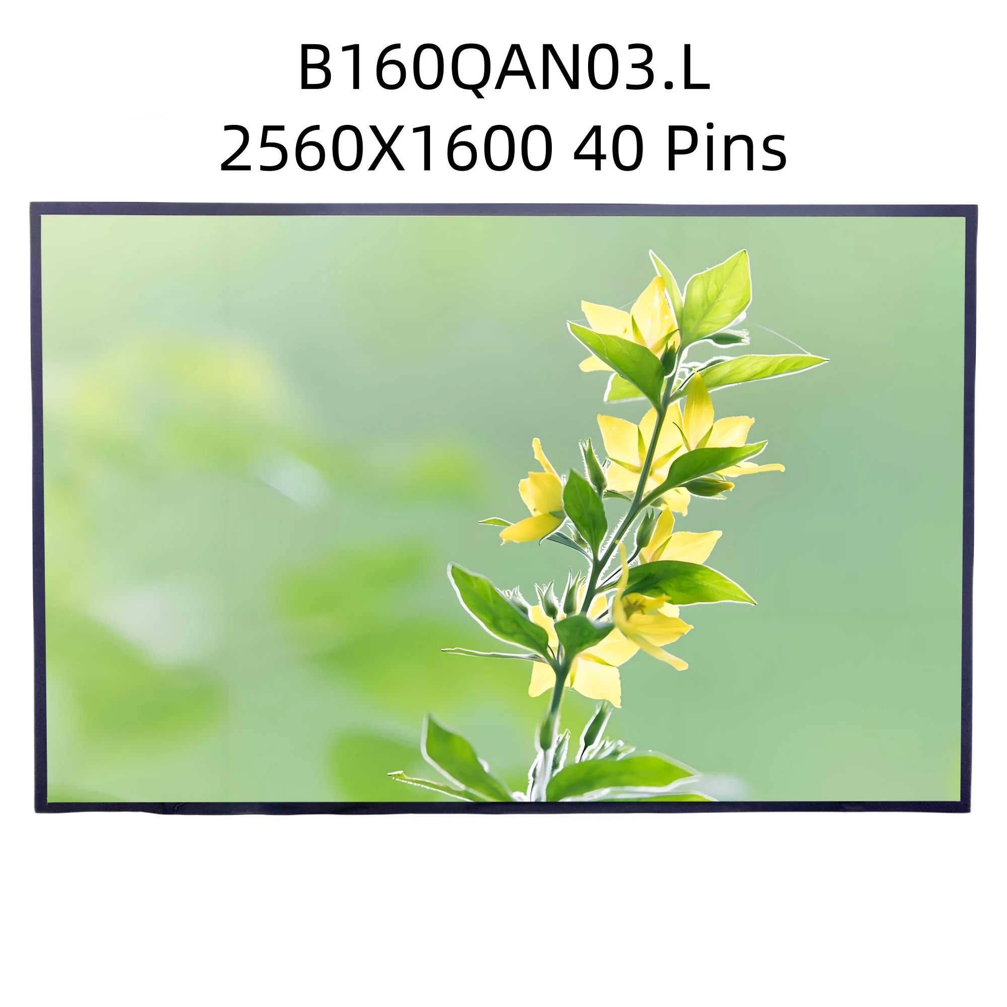 

IPS 16.0" B160QAN03.L Laptop LCD Screen Panel Display 2560x1600