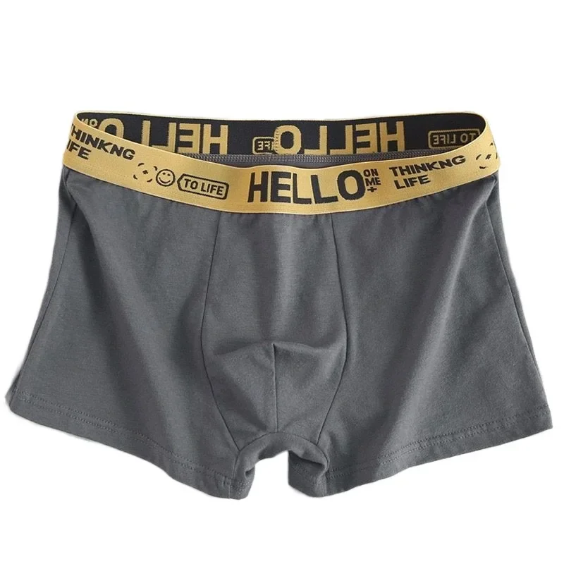 5db mens Alsónemű Apaállat boxers sexi Alsónadrág Lakályos Lélegezhető Megmunkalás fiúknak Fartő Alsónemű boxershorts férfiak