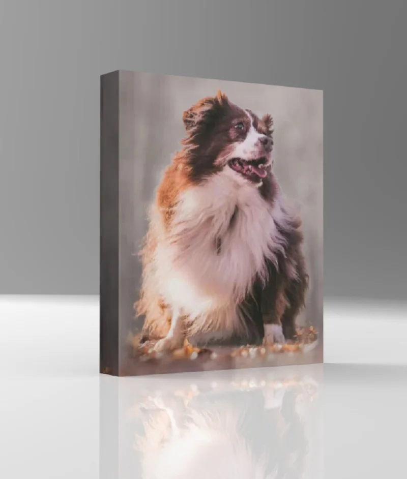 Impresiones de fotos personalizadas, lienzo de pintura, envoltura de ilustraciones de galería personalizada para decoración de impresión de pared