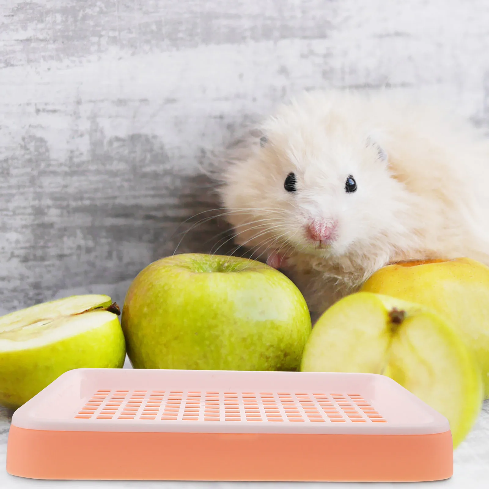 صندوق نفايات خنزير غينيا مدرب الأرنب المرحاض مساحة نشاط كبيرة تصميم ثابت قعادة أرنب معدات تنظيف الحيوانات الأليفة