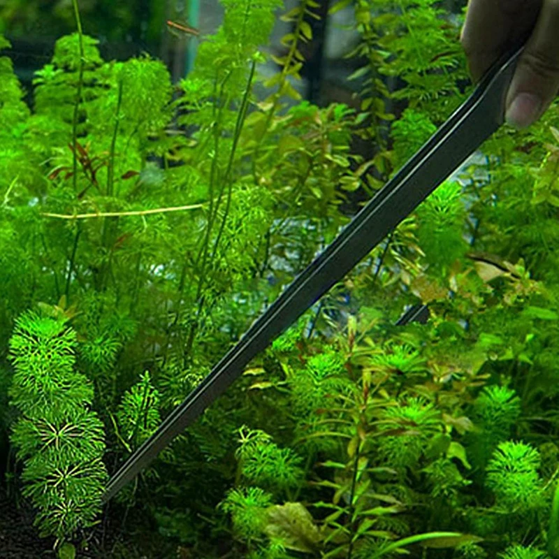 27cm Edelstahl Aquarium-Pinzette Gerade & Gebogene Aquascape-Werkzeuge Fischbecken Aquatische Pflanzenpflege-Zange – Detail 4