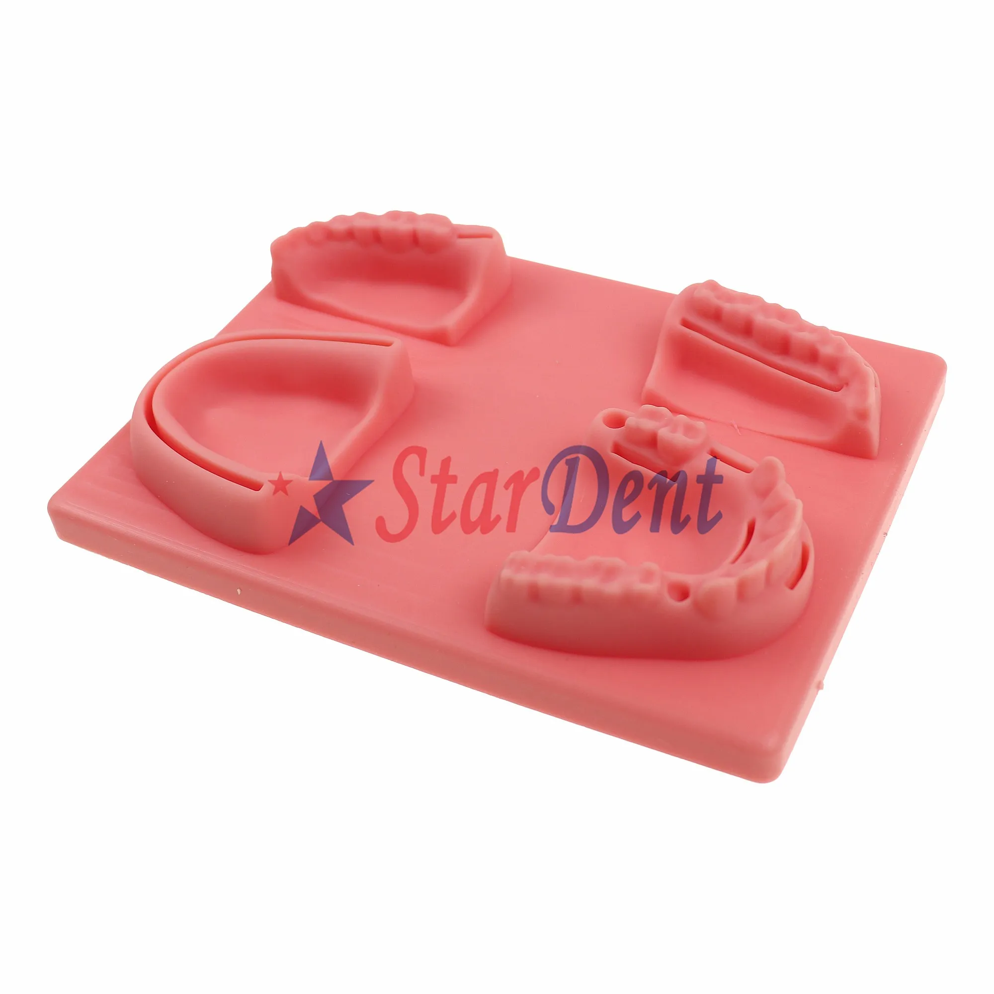 Dentals Silicone Oral Suturing Practice Model - Gum Teaching Module for Dentist