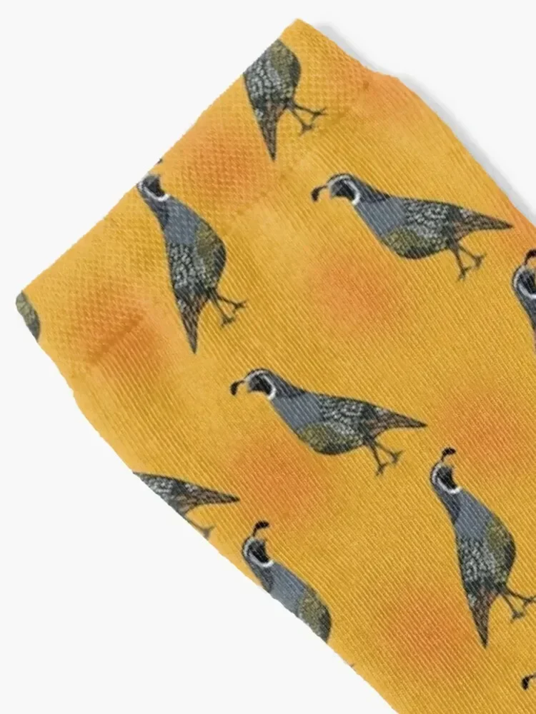 California Quail Pattern Socks Climbing new year golf hip hop Girl'S Socks Men's
