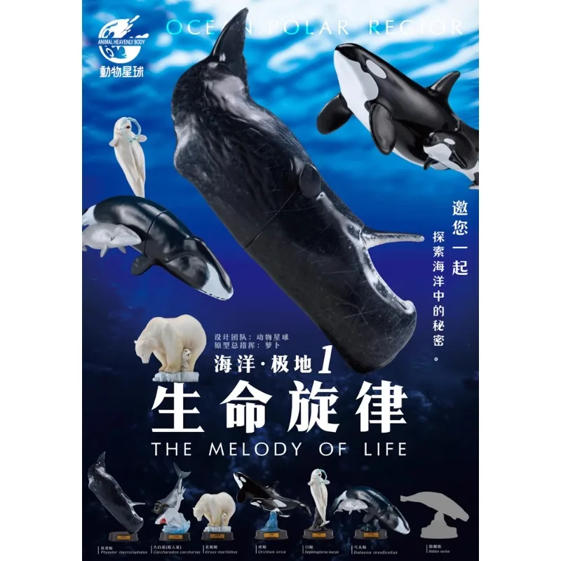 Original Animal Planet Qversion Ocean Killer Whale Polar Bear Sperm Whale Anime Action Figure Model Toy Gift Collection Ornament