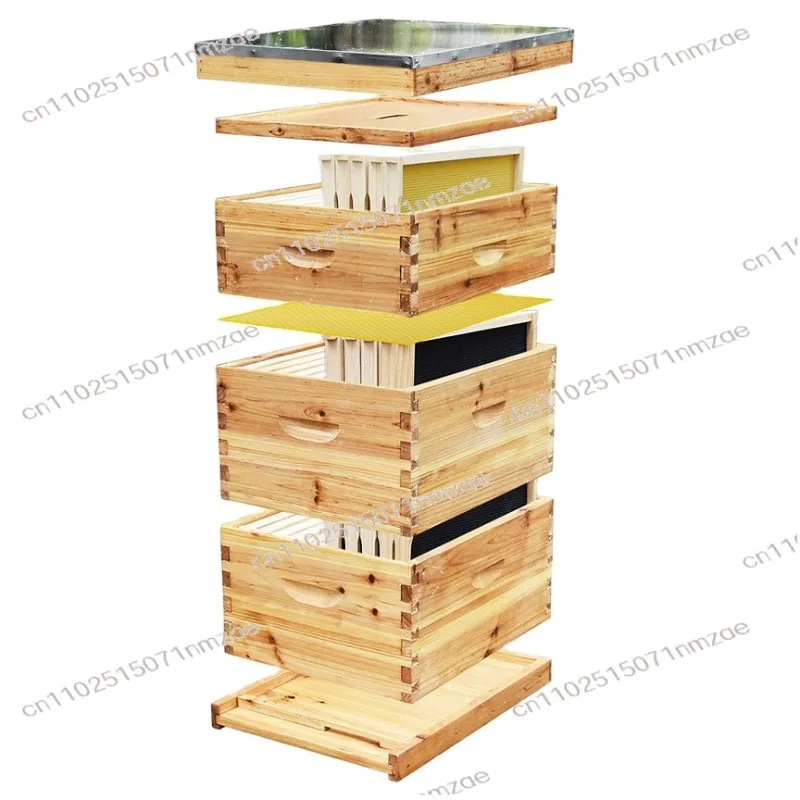 Complete Beehive Kit with 10 Frames Professional Beekeeping Box for Beginner & Commercial Beekeepers