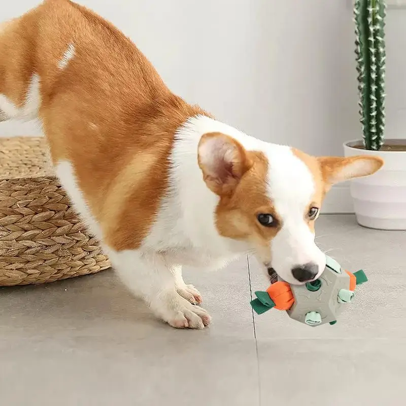 

Treat Dispensing Dog Toys Interactive Dog Chew Toy Treat Dispenser Small Medium Large Breeds Enrichment Ball With Squeak For