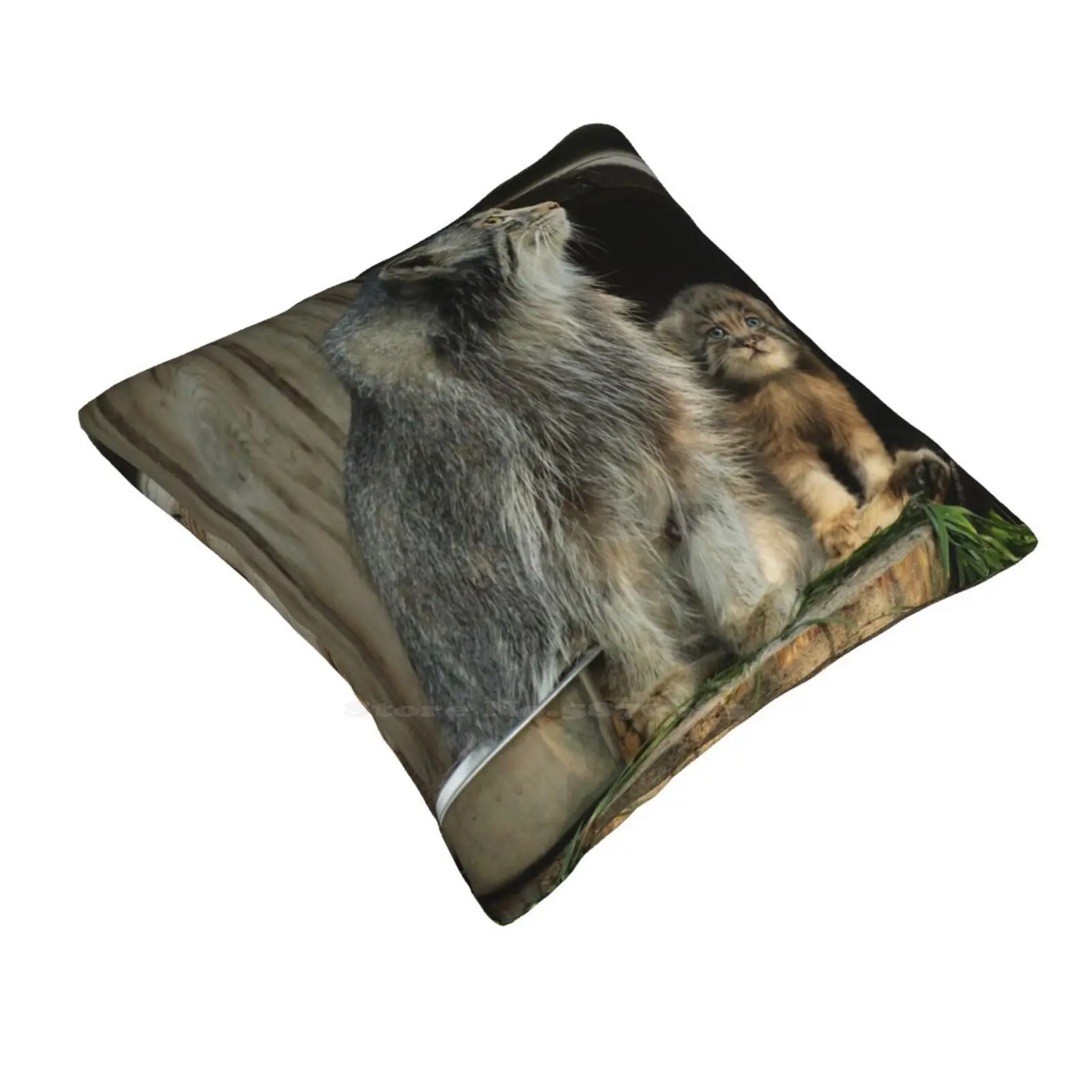 Manul Is The Crown Of Cat Beauty Pillow Cover Hug Pillowcase Manuls Pallass Cats Pallas Cats Kitten Fluffy Cat