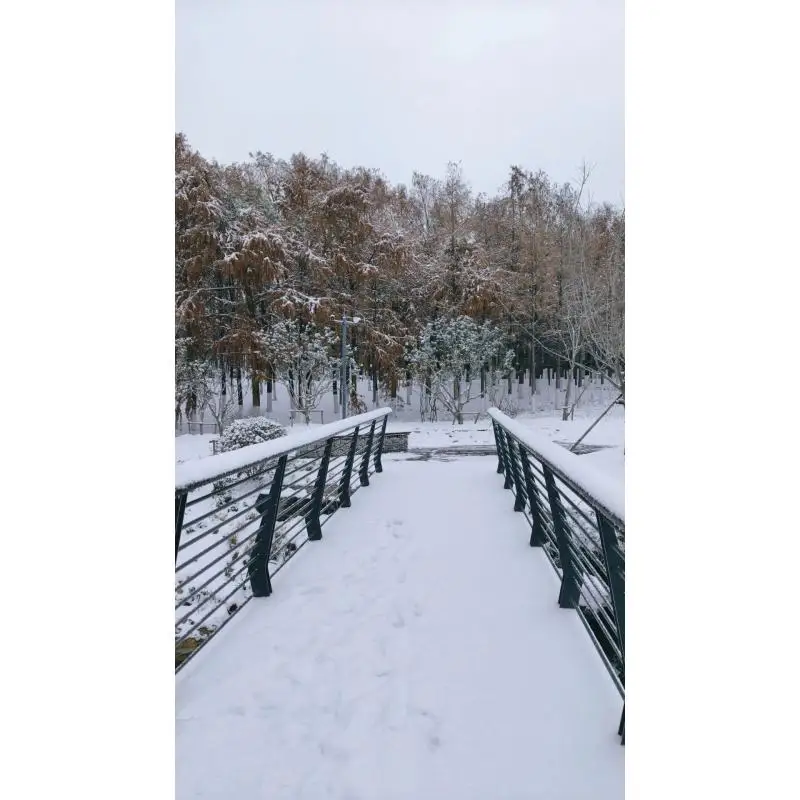 

GT210 1G Gaming Graphics Card with DVI VGA HDMI-Compatibe Port Low Profile Graphics Card 64Bit DDR3 PIC Express2.0 for PC Gaming