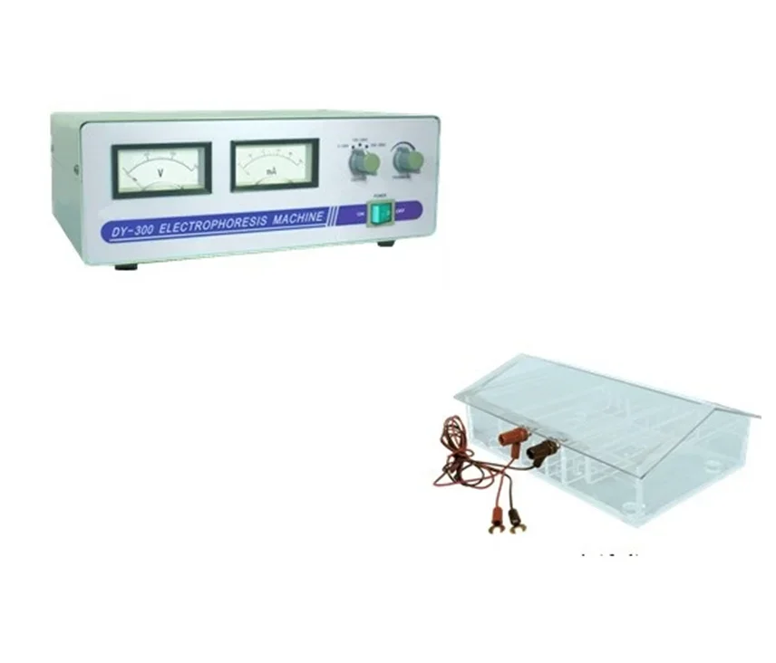 High Quality Automatic Apparatus Equipment Laboratory Electrophoresis Machine