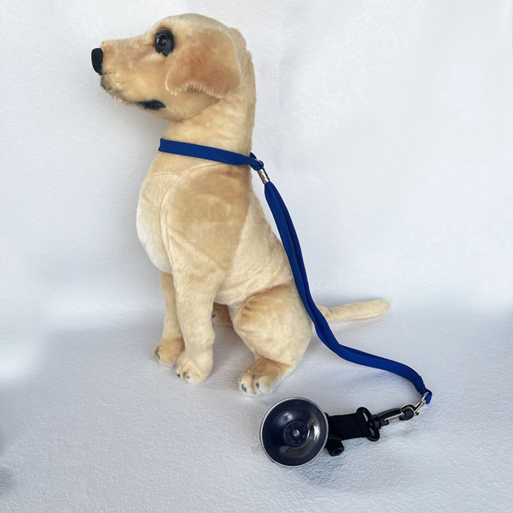 Adjustable Pet Bathing & Grooming Restraint – Tether Loop with Strong Suction Cup Sa4d89fcf0c264d889828ce28c1bc5e2dg
