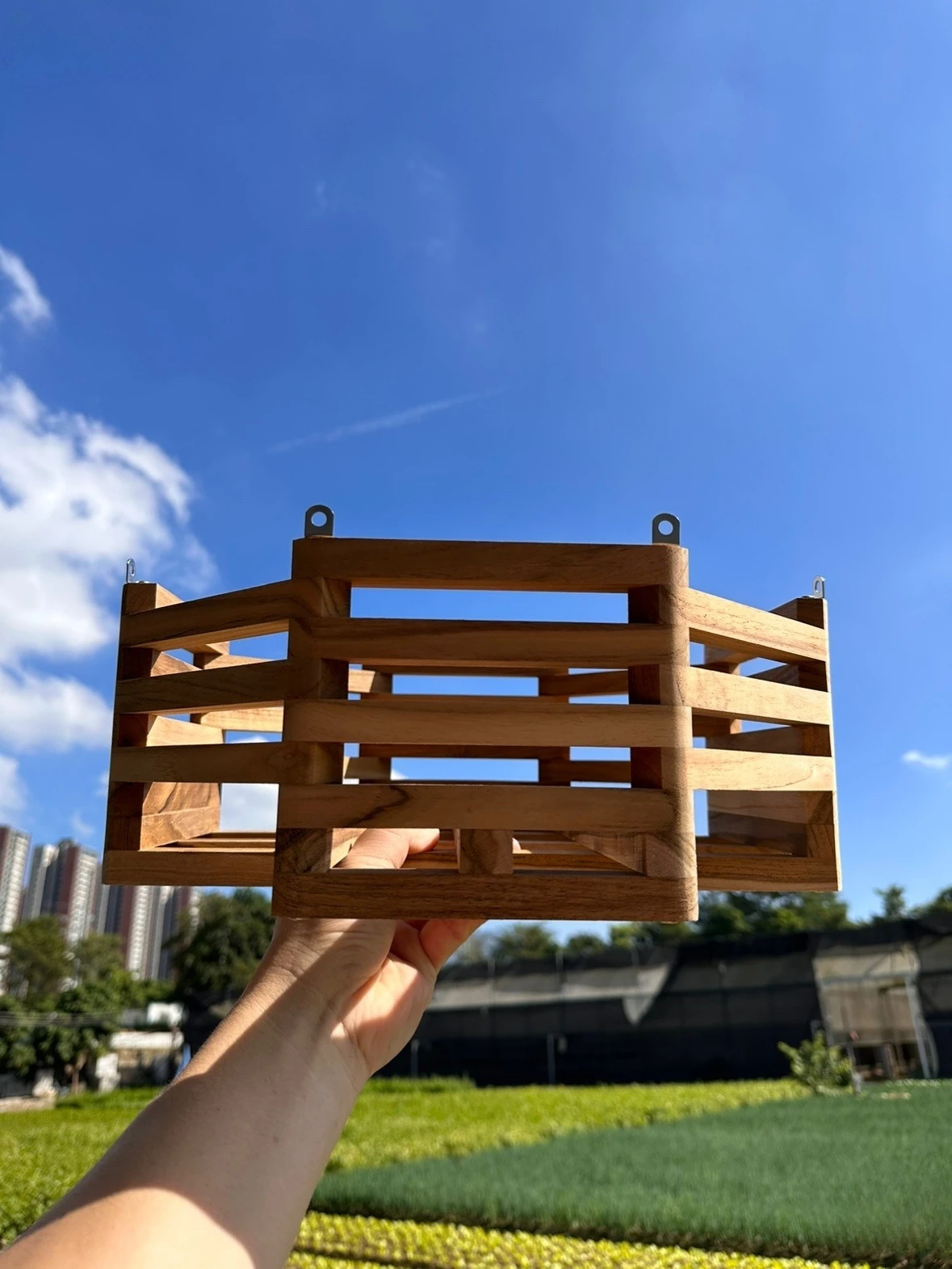 إطار خشبي أصيص زهور بوعاء، وعاء زهور بإطار، أوركيد، بانداي، قرش، وعاء زراعة