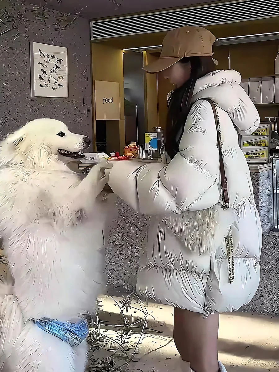 Chaqueta Acolchada Blanca Cloud Dough para Mujer, Chaqueta de Invierno con Cuello Alto y Capucha, Prenda Exterior Moderna de Largo Regular