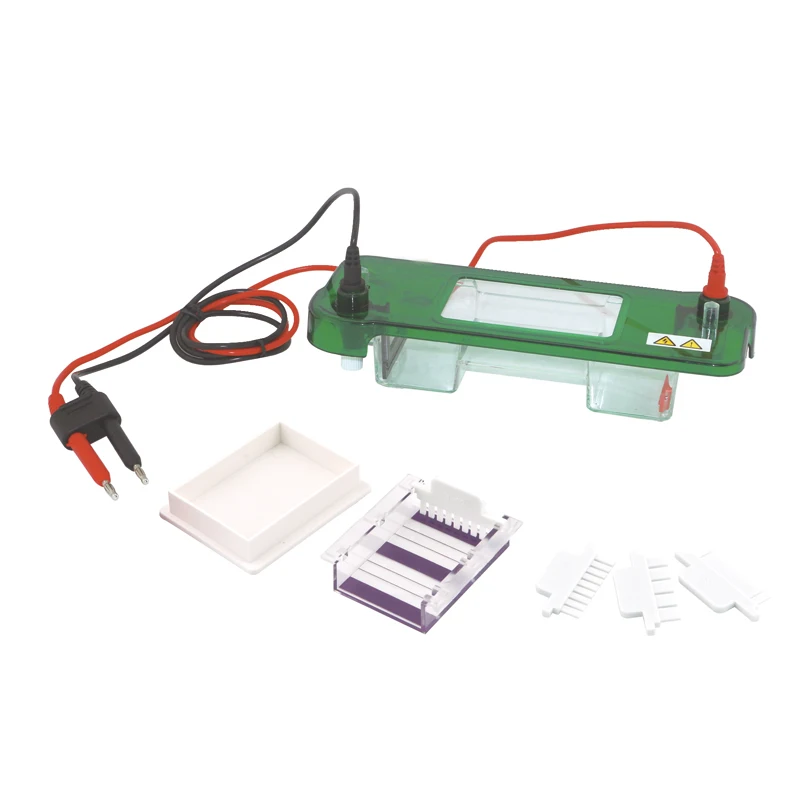 Clinical Analytical Instruments Horizontal Electrophoresis Cell Clinic Electrophoresis Cell Tank Transfer