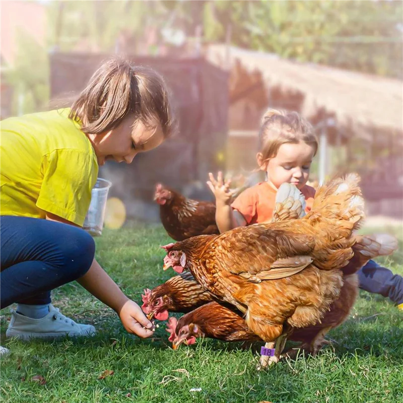 Abge-160Pcs 16Mm Ch… - image