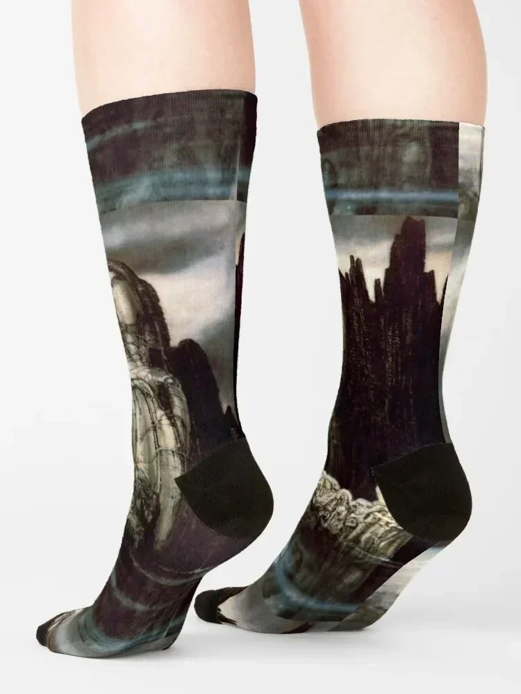 H.R Giger - Isle of The Dead Socks Antiskid soccer man christmas stocking floral Men Socks Luxury Brand Women's