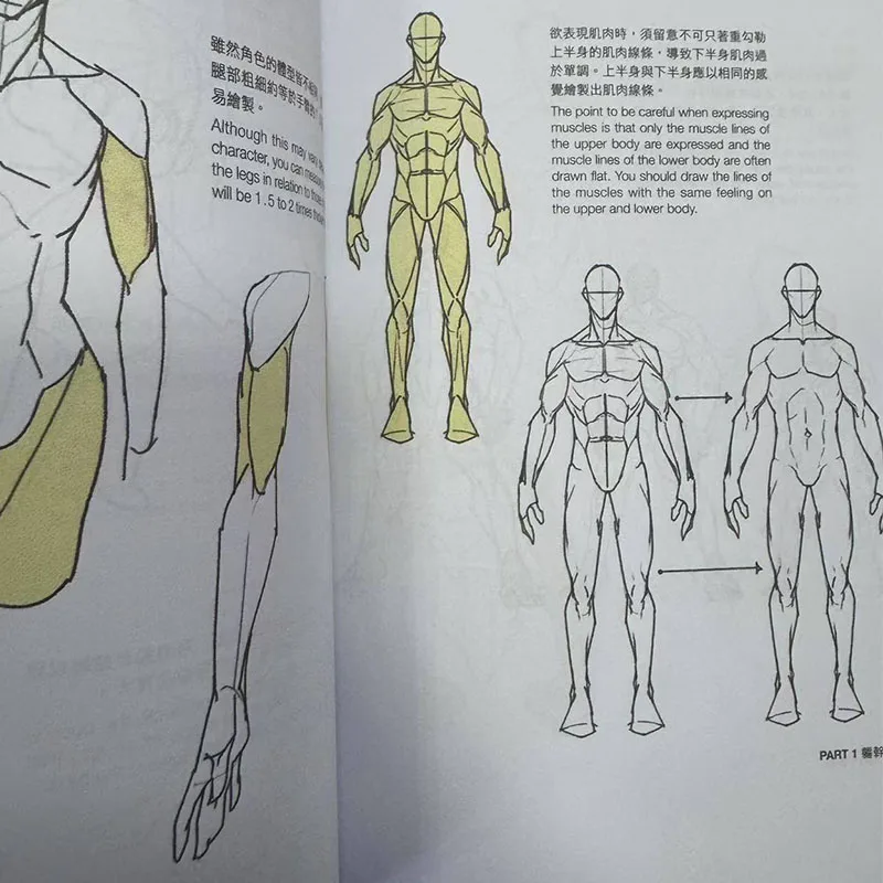 New POINT CHARACTER DRAWING TACO Korean Painter's Animation Character Quick Qrawing Art Book Chinese Version Art Libros