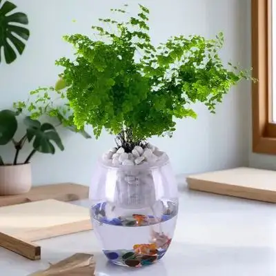 自動散水綿ロープ植物用自己吸水コード鉢植え植物吸収性ストリング水耕栽培用品ガーデンツール