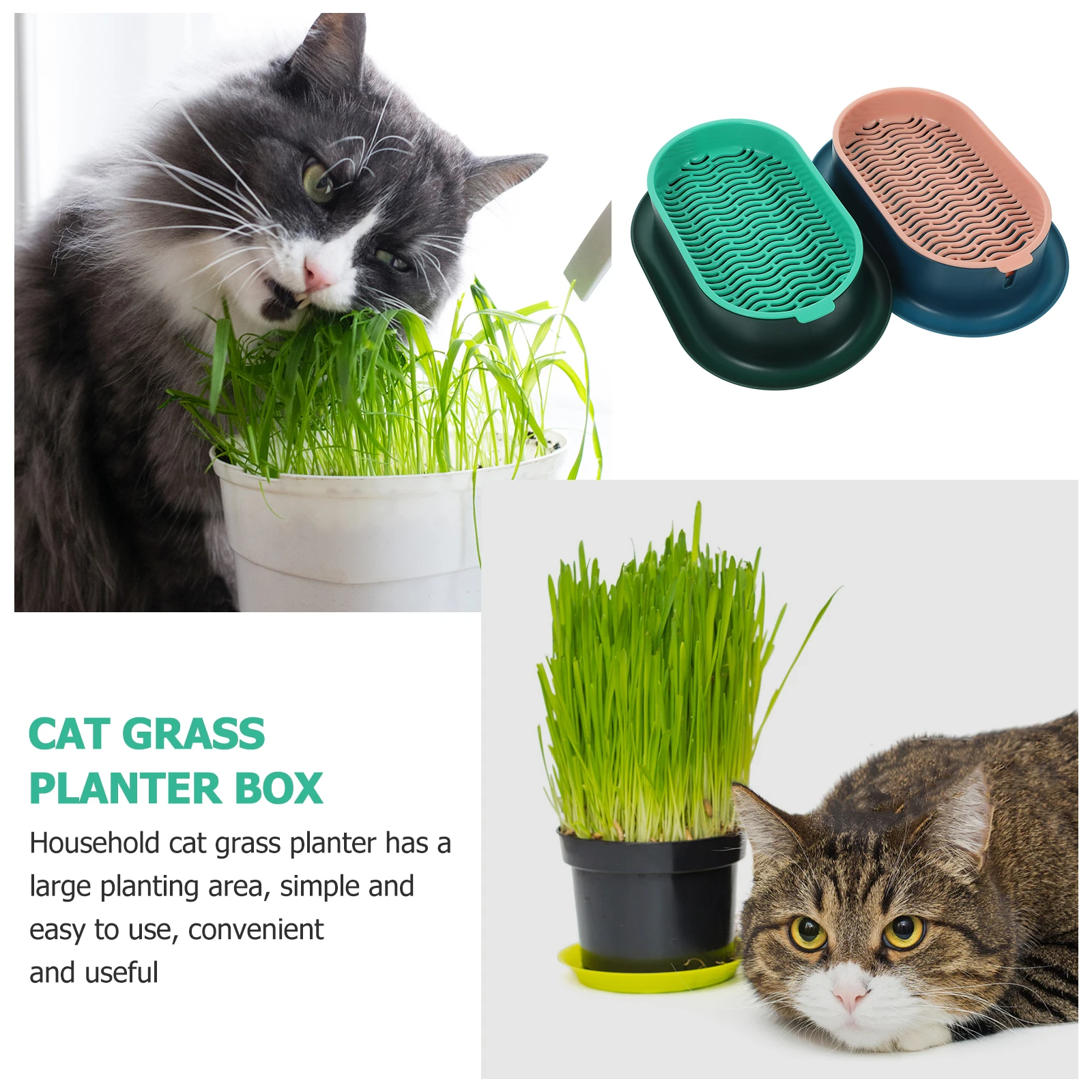 

2 Sets Hydroponic Cat Grass Planter Boxes Reusable Large Area Easy Cleaning Blue Pink Soilless Planting Pet Nursery Practical