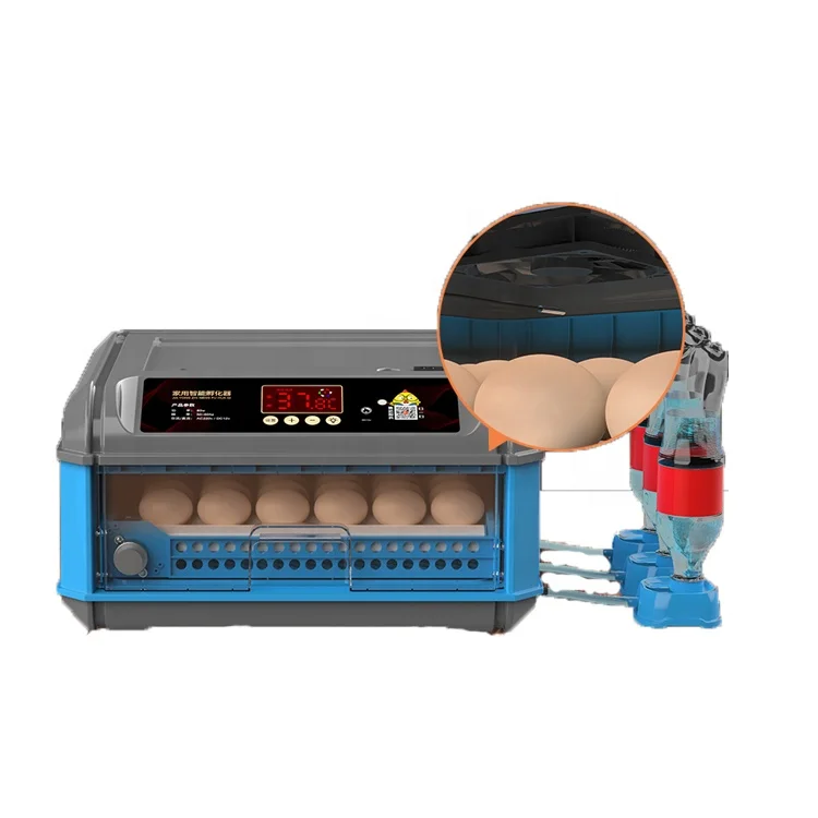 Mini Small 64 Egg Incubators for Different Eggs Hot Sale in Dubai