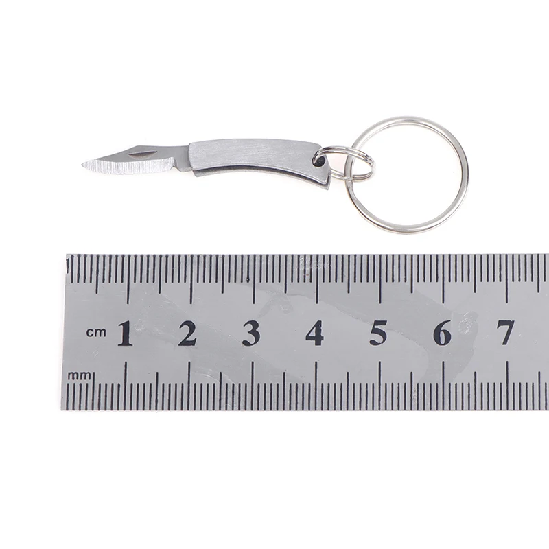 Stainless Steel Mini Folding Knife Ultra Small Portable Pocket Knife Express Open Box Keychain EDC Small Folding Knife