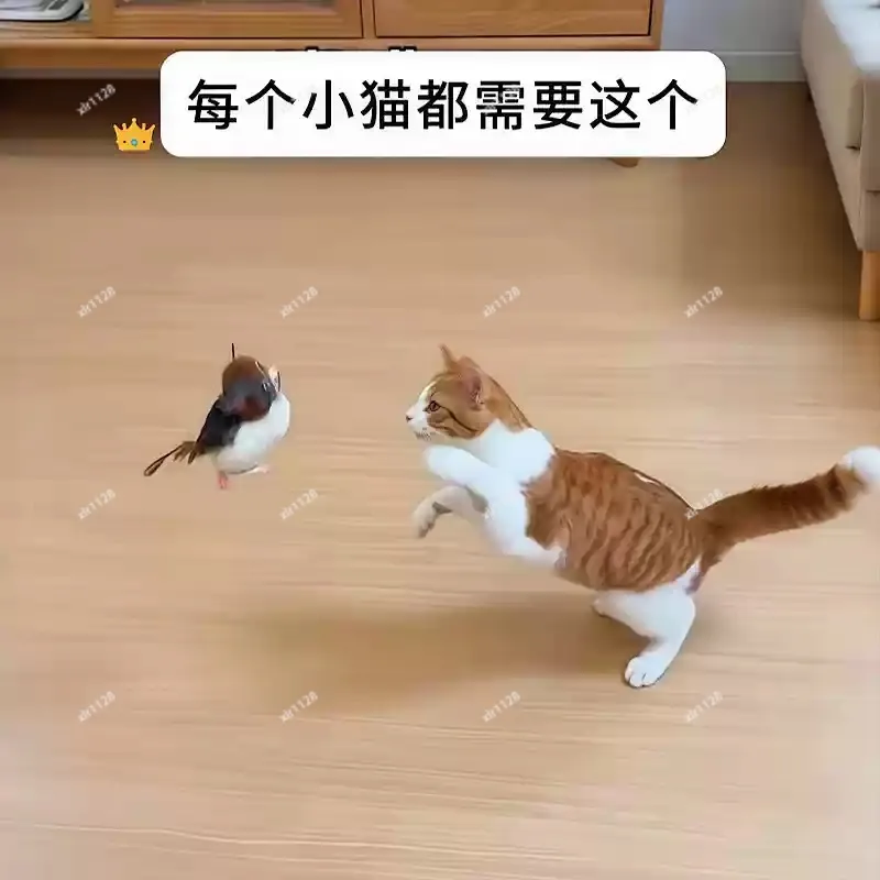 

Rechargeable Cat Teaser Wand, Portable Induction Shaking Bird Vocal Design for Indoor Play