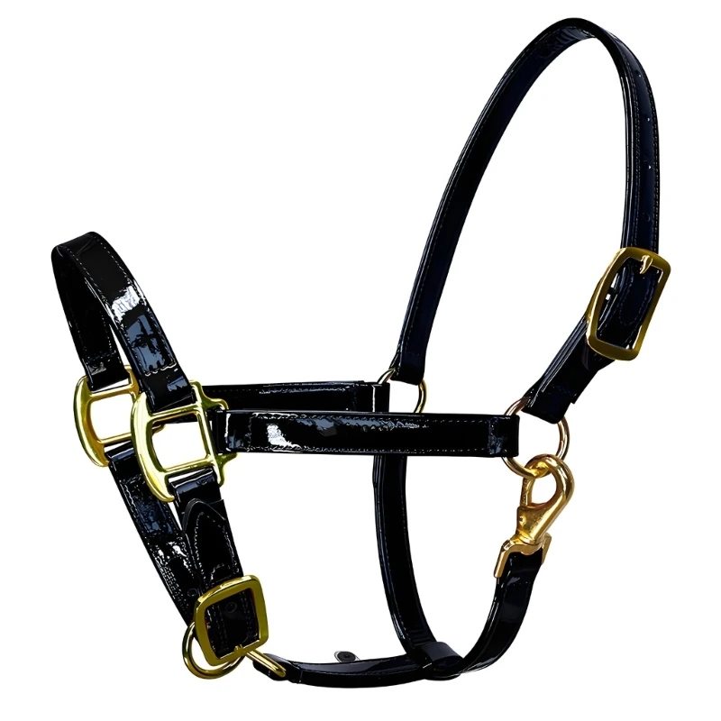   Equestrians Horse Headstall Bridle Headgear with Golden Buckle In Elegent Leather Smell Proof & Quick Cleaning Features