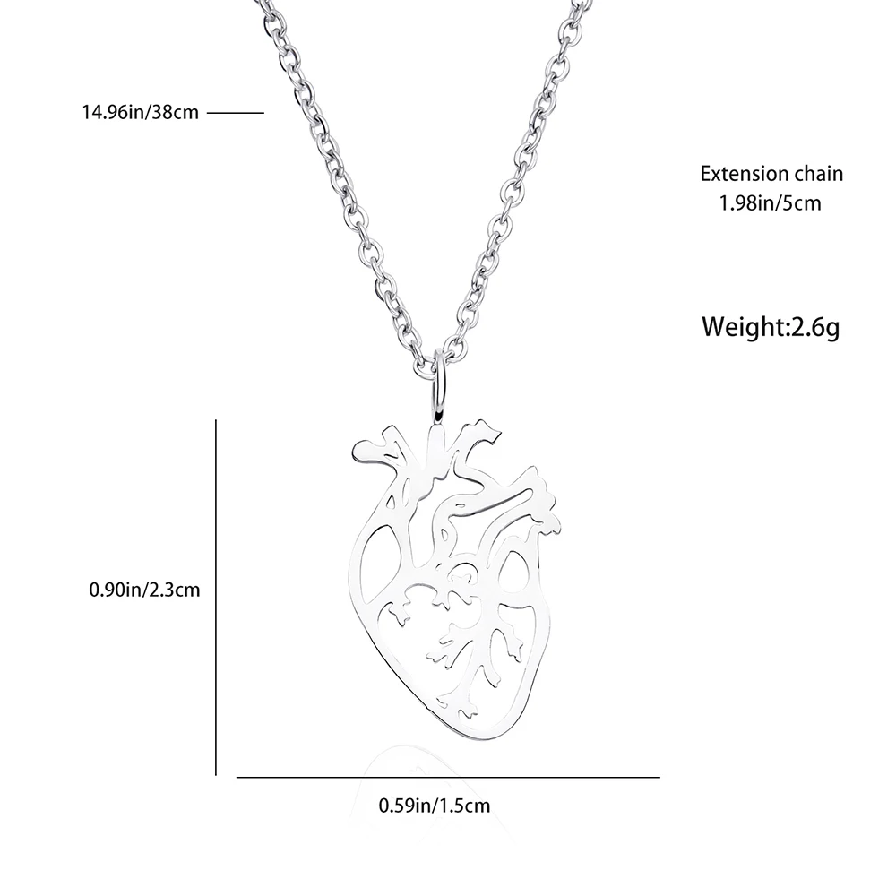 Heart Anatomy Necklace Stainless Steel Pendant Human Organ Simple Hollow Jewelry Biology Medical Gift For Doctors Nurses