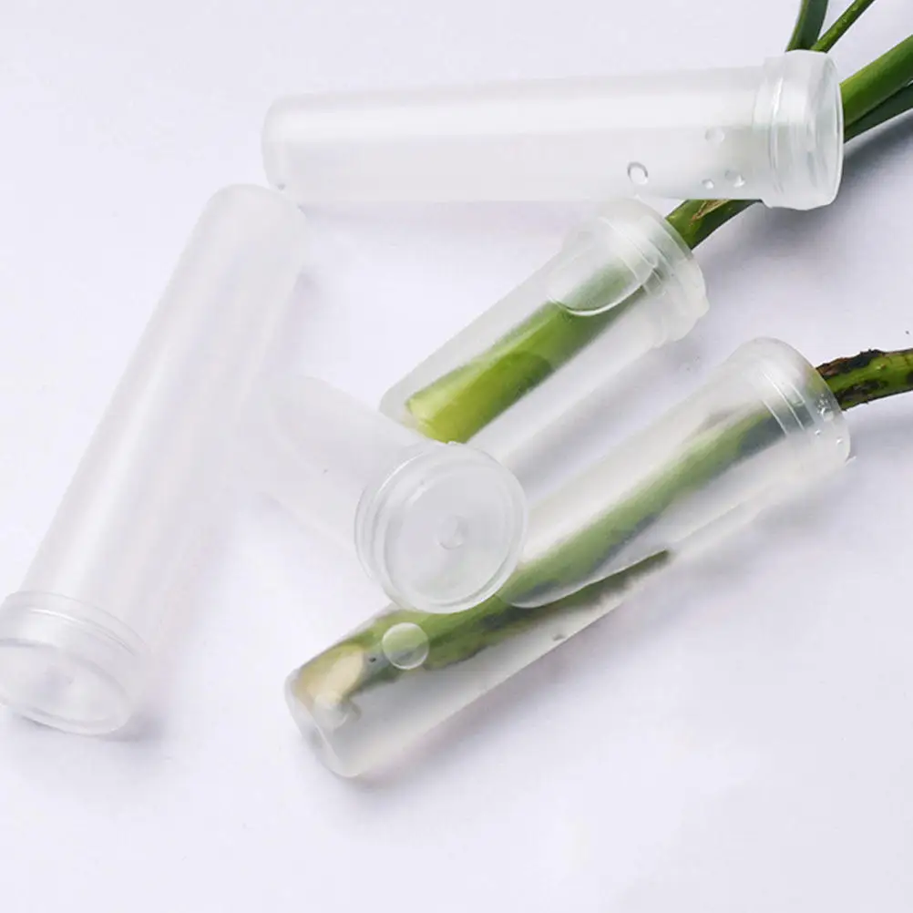 

100Pcs Plastic Flower Preservation Tubes Leakproof Fresh Water Culture Tubes Essential Florist Supplies Flower Growing Tube