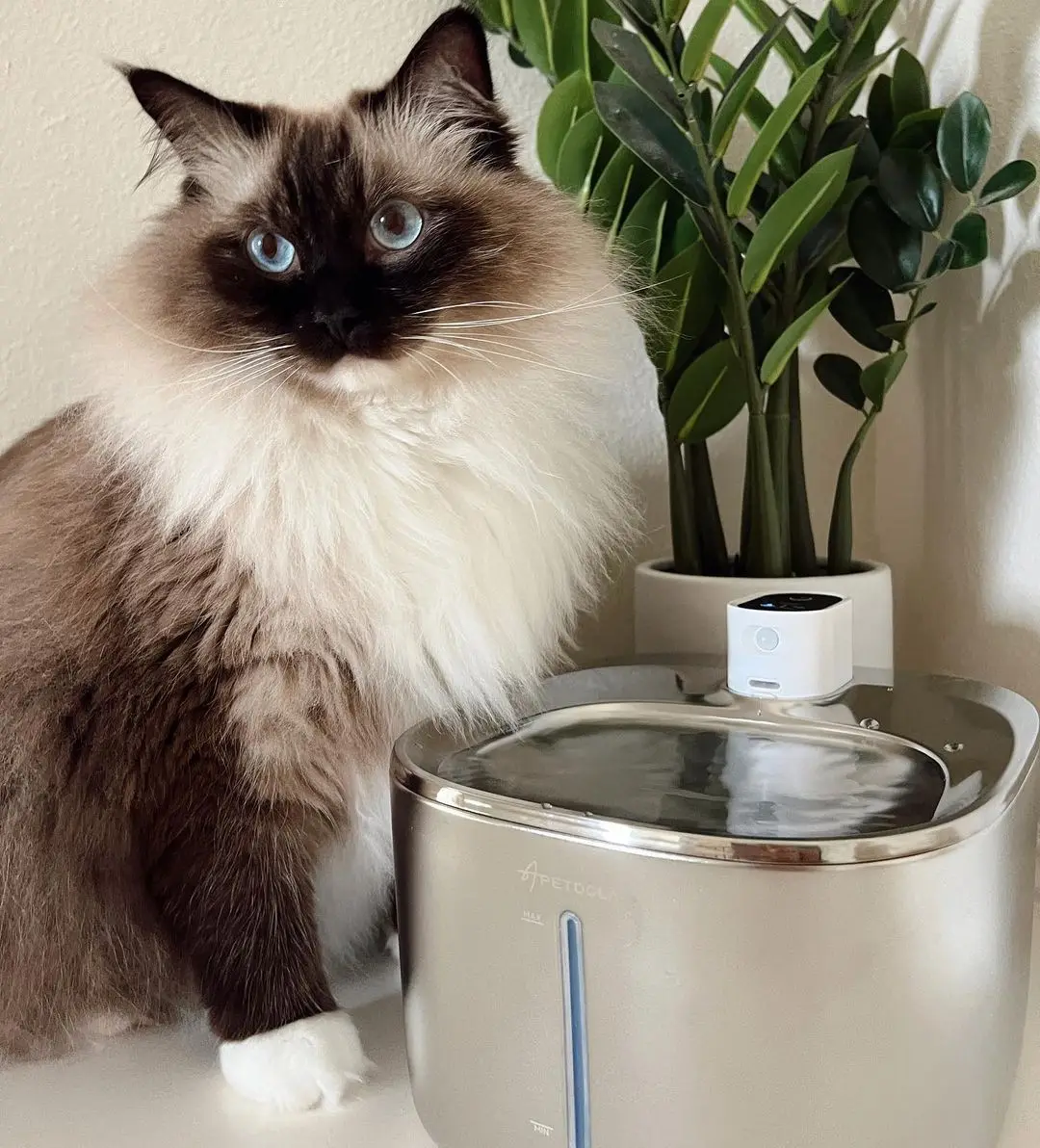APETDOLA 4L Wireless Cat Water Fountain Auto Sensor Drinking Fountain For Cats Dog Drinker Pet Water Dispenser Accessories