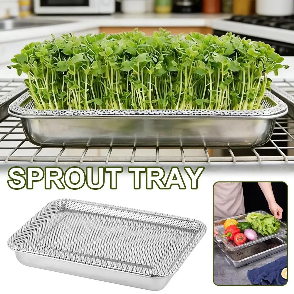 Herramienta de Cultivo Reutilizable para Horticultura Hidropónica en Interiores, Bandeja de Germinación de Plantas de Acero Inoxidable