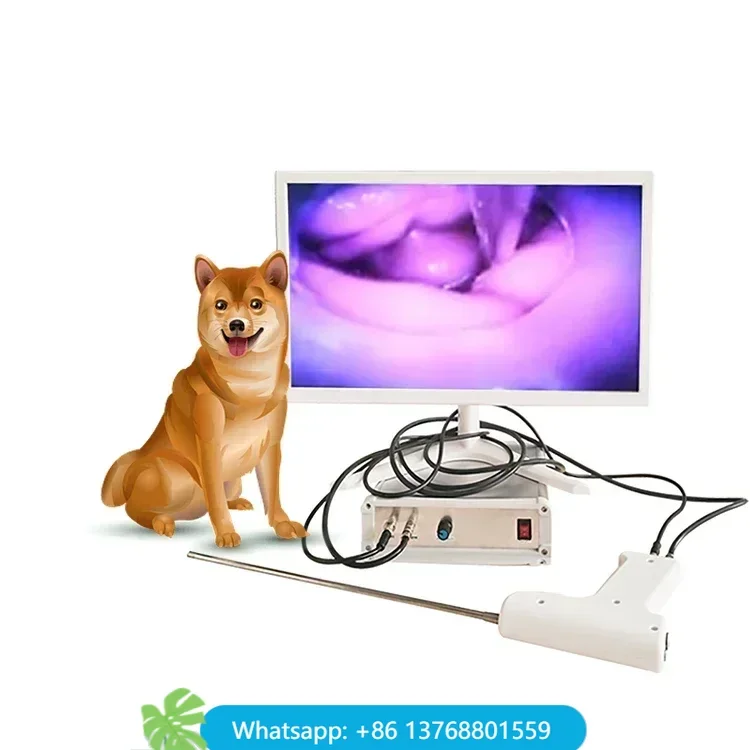 

Новый!! Canine Visual Ai Gu & TCI Искусственное осеменение Gu