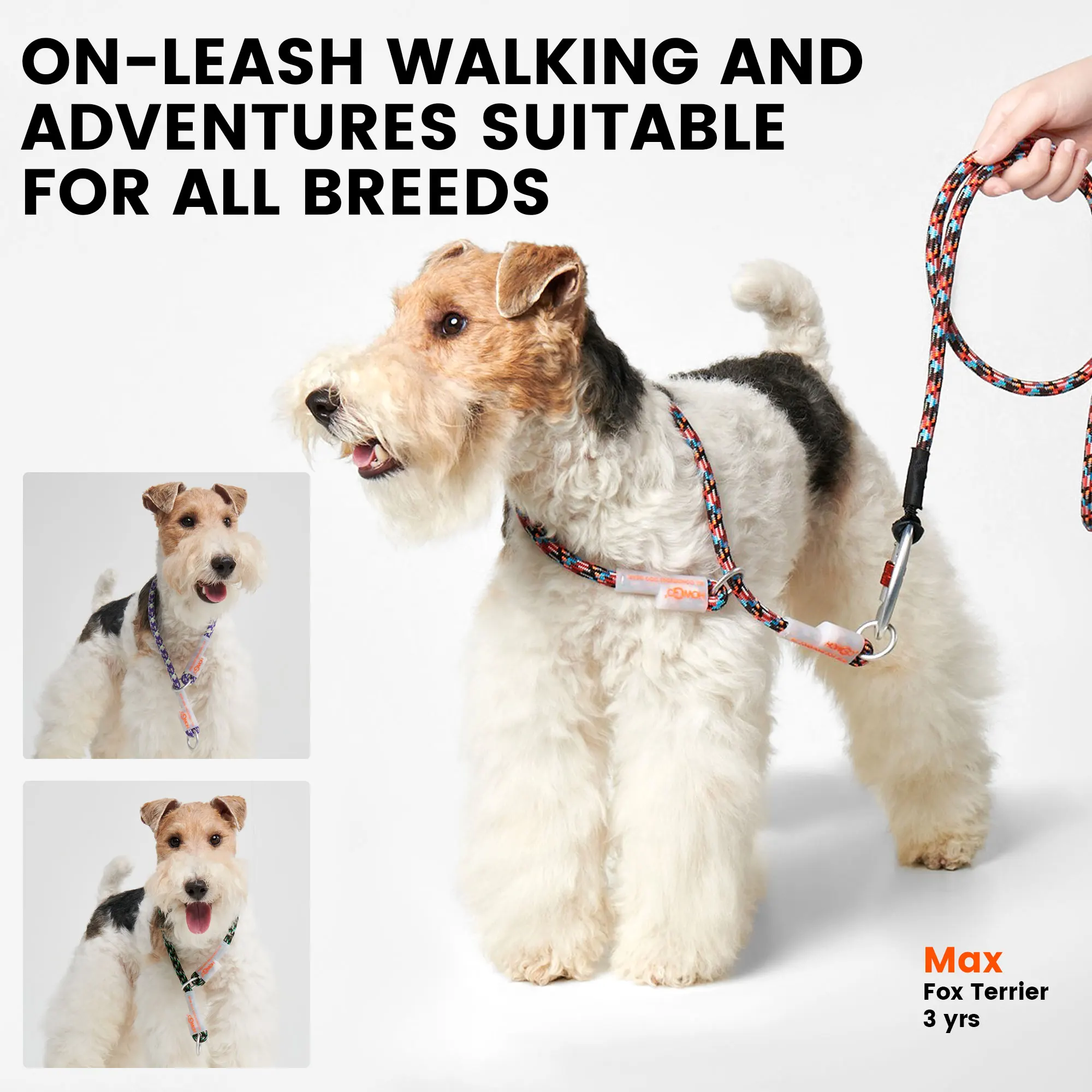 Reflective Dog Slip Collar Round Martingale Dog Collar Strong Nylon Climbing Rope Walking Training for Small Medium Large Dogs
