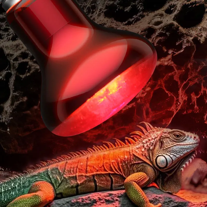 Reptile Heat Lamp 100V/220V Infrared Bulb for Pet Gecko Amphibian Terrarium Vivarium Heating Lighting Device Heater