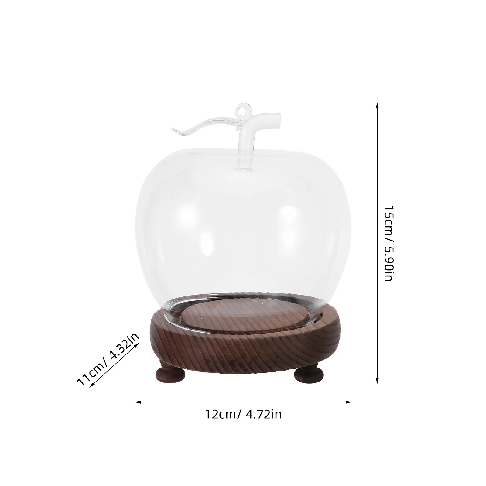 Transparent Glass Dome Display Dome with Natural Wood Stand for Crafts Candles Succulents Eternal Flowers Shelf Decor Dust Proof